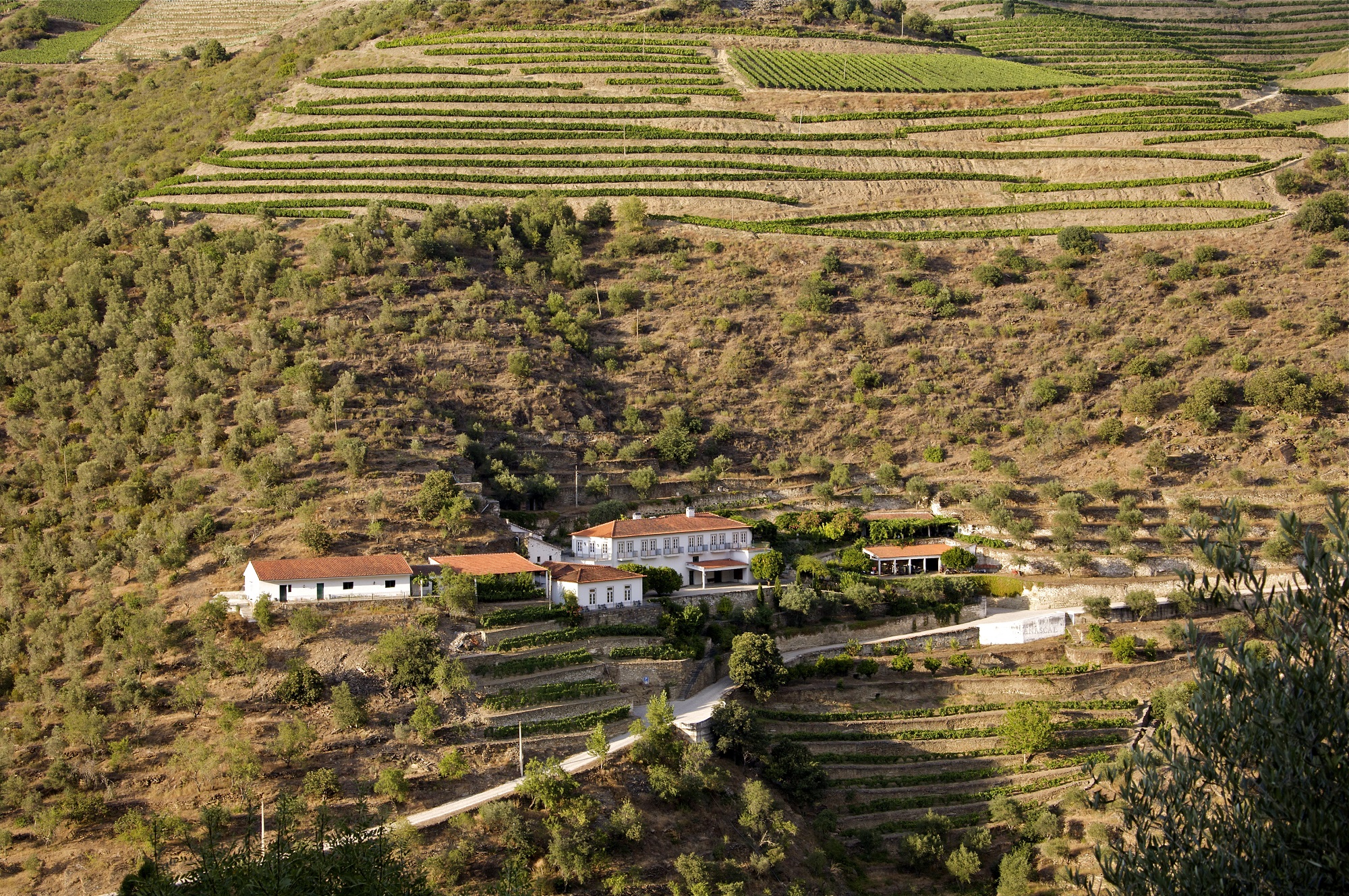 Fonseca Porto